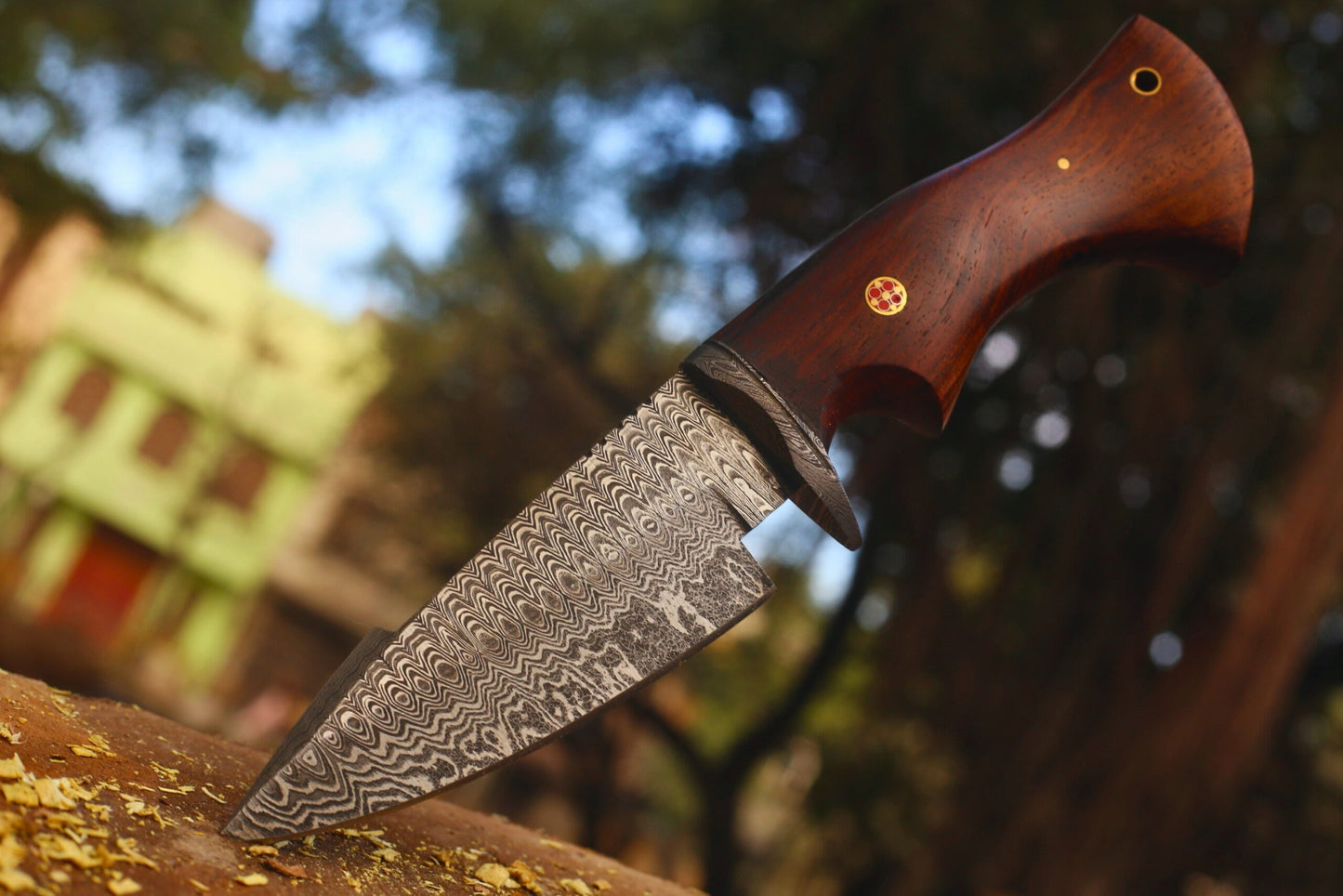 Bobcat Hunting Dagger in Damascus Steel And Wood Handle | With Leather Cover | (Total length 10.3 inches)