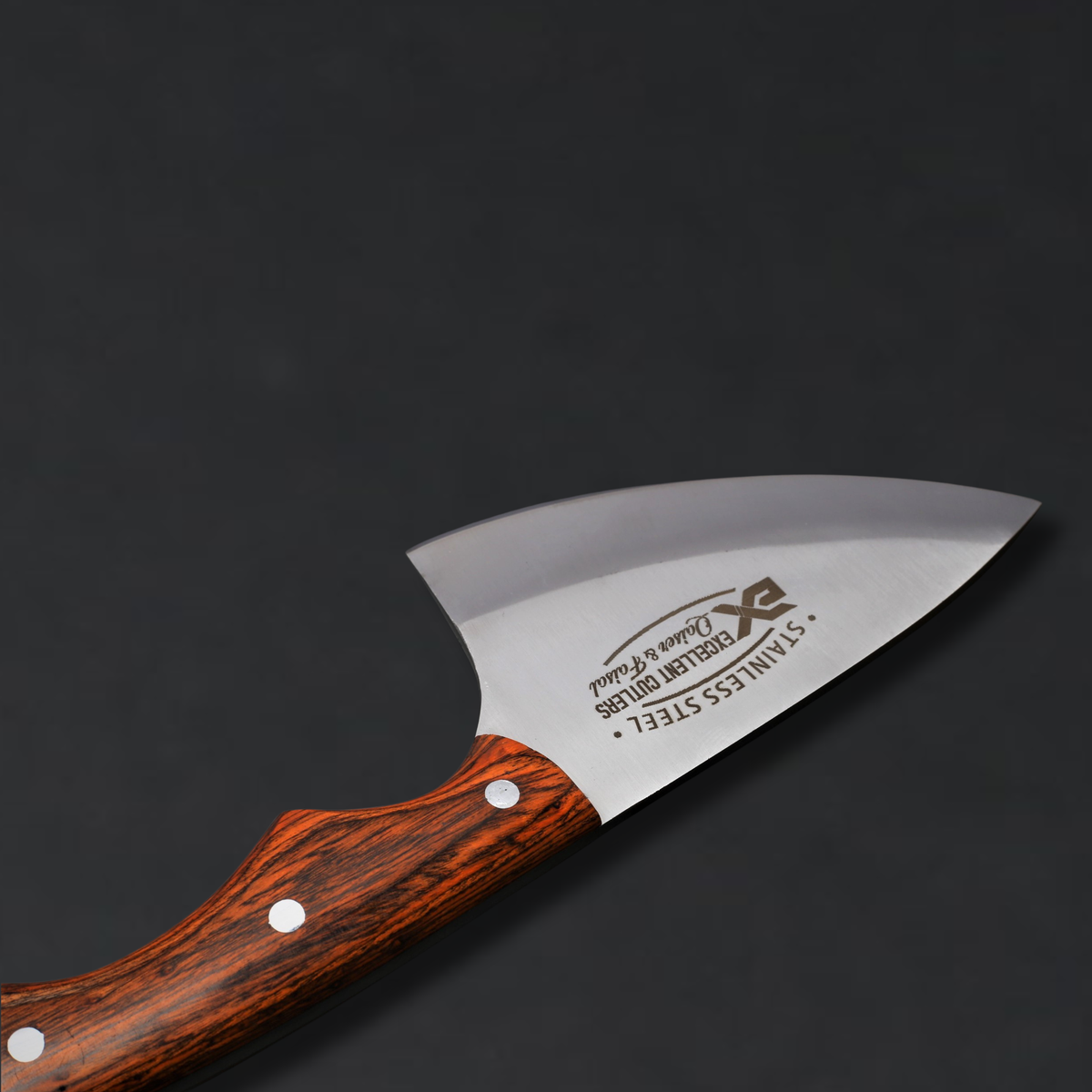 Scorpion Skinner Knife - Handcrafted Blade 4-Inch – 12C27 Stainless Steel & Multi-Color Wood Handle