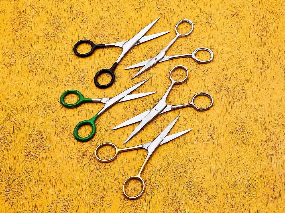 1 Pcs Professional Small Size Barber Scissor– High-Quality Stainless Steel