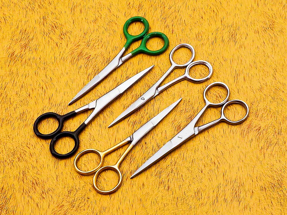 1 Pcs Professional Small Size Barber Scissor– High-Quality Stainless Steel