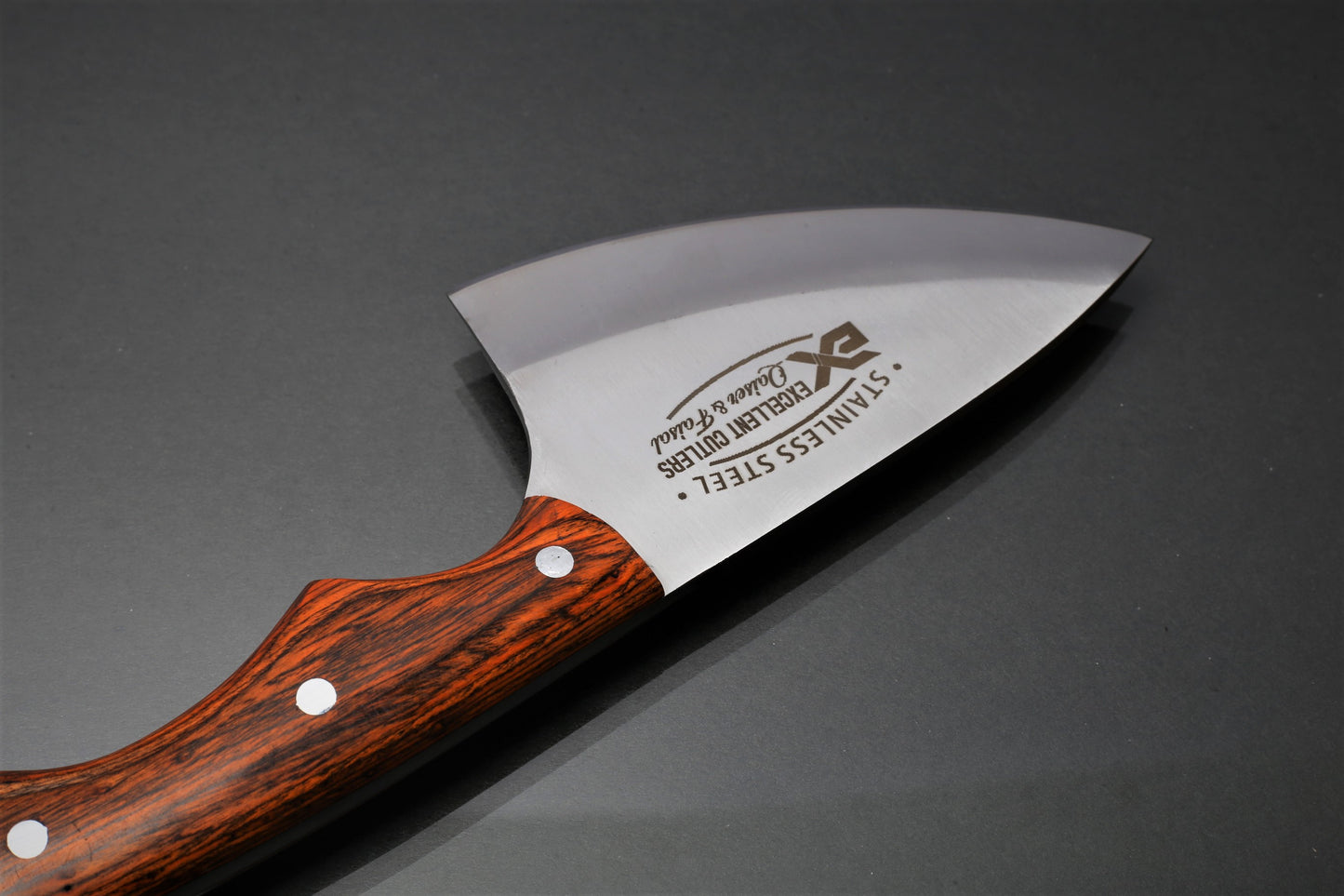 Scorpion Skinner Knife - Handcrafted Blade 4-Inch – 12C27 Stainless Steel & Multi-Color Wood Handle