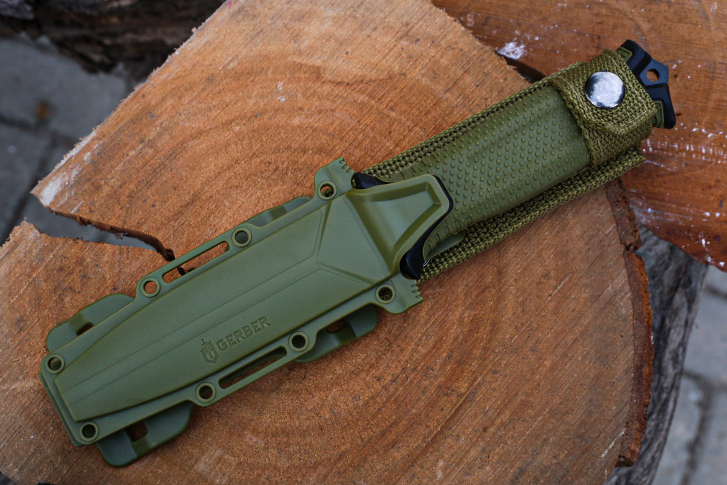 Serrated Survival Knife – 11.5 cm Blade – Just ₨3,850 (Save ₨1,100) – Wazirabad