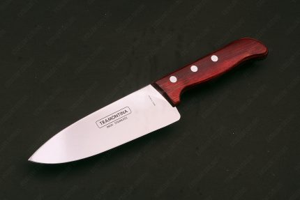 Tramontina Inox Stainless Brazil 10.5" Knife – Just Rs 4,800 – Perfect for Meat Slicing in Wazirabad, Pakistan